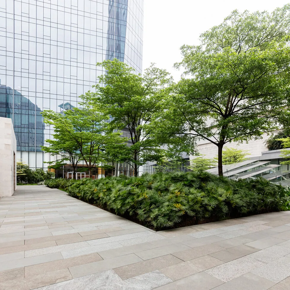 Mik azok az esőkertek és hogyan működnek az irodai környezetben?